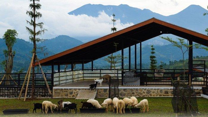 The Nice Funtastic Park menjadi rekomendasi tempat wisata di Cianjur karena mempunyai berbagai macam wahana seru dan mini zoo di dalamnya.