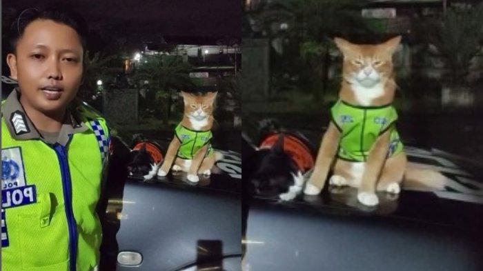 Video kucing ikut berpatroli di Jalan Raya Bogor - Sukabumi, viral di media sosial.
