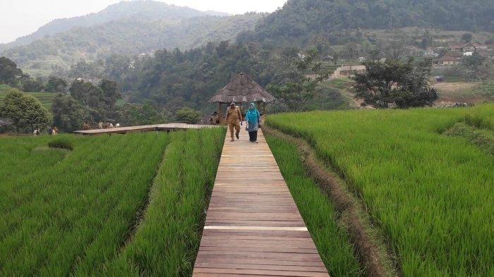 Wisata Tematik Terasering Cisalada di Kecamatan Pamijahan, Kabupaten Bogor.