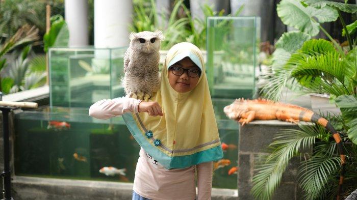 The Alana Hotel Sentul memiliki program Alana Super Kids, yang menghadirkan berbagai aktivitas menyenangkan dan edukatif setiap akhir pekan.