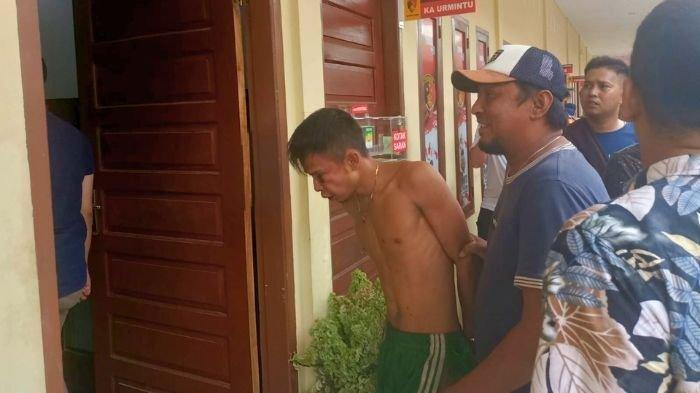awal mula penangkapan pembunuh gadis penjual gorengan
