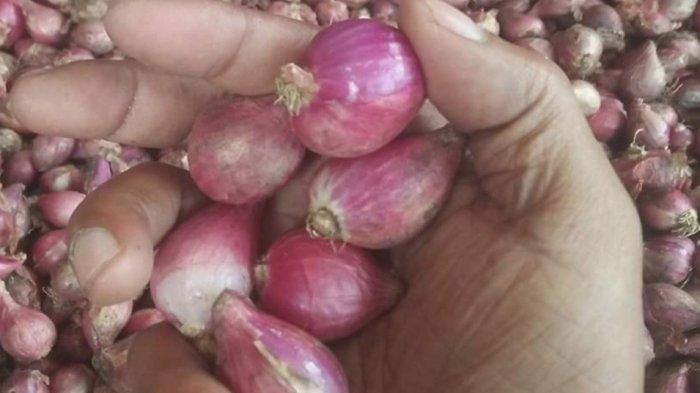 Simak Tips dan Trik cara mengupas bawang merah lima kali lebih cepat dari biasanya. Tidak akan bikin mata pedih.