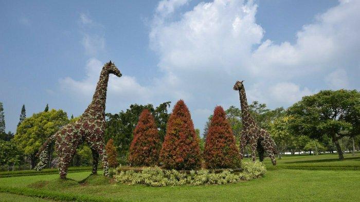 Berkunjung ke tempat wisata Taman Bunga Nusantara, di sini kalian bisa melihat bunga - bunga cantik dari berbagai negara.