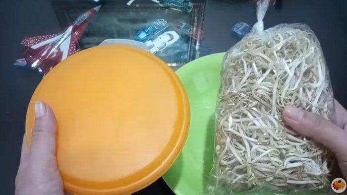 Perbedaan menyimpan tauge di wadah dan di plastik.