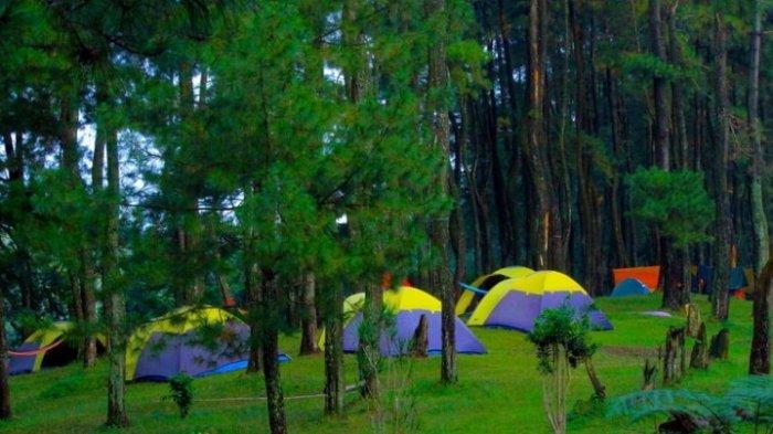 Kawasan perkemahan tempat wisata Bogor ini tidak hanya sangat asri dan alami, tapi juga merupakan rumah untuk para satwa. Cocok untuk yang ingin merasakan keseruan bermalam di alam liar.