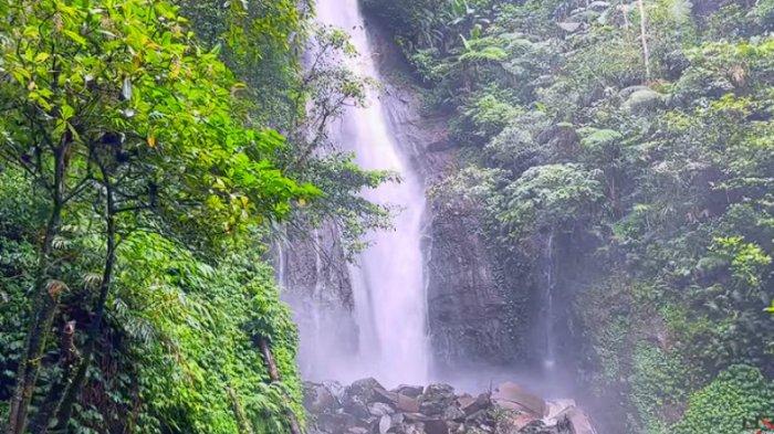 Curug Cikaracak merupakan tempat wisata air terjun di Bogor yang berada di tengah hutan yang sangat lebat.