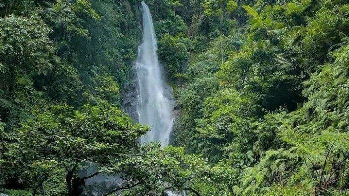 Udaranya sangat sejuk dan pemandangannya indah, mengingat tempat wisata Bogor ini berada di kaki gunung. Salah satunya Curug Cikaracak yang berada di tengah hutan yang sangat lebat.