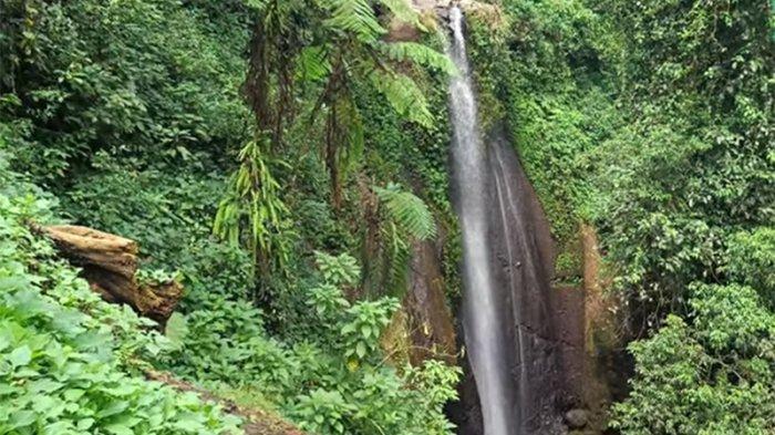 Curug Nangka merupakan tempat wisata Bogor yang menawarkan pemandangan alam berupa hutan pinus yang asri dengan udara yang sejuk.