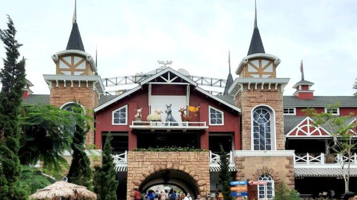 Kamu dapat berwisata sekaligus akan teredukasi jika berkunjung ke tempat wisata Dairyland Farm Theme Park Puncak Bogor.