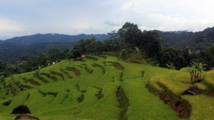 Desa Wisata Malasari rekomendasi tempat wisata Bogor yang menyuguhkan keindahan alam.