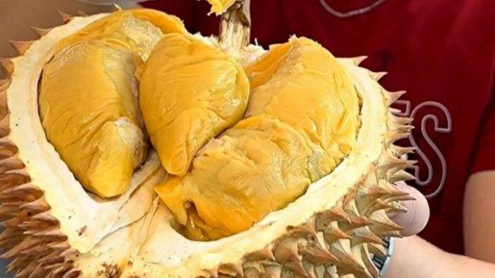 Bagi pecinta durian, wajib banget mencicipi kuliner Bogor Durian Keliling ini karena bisa makan sepuasnya.