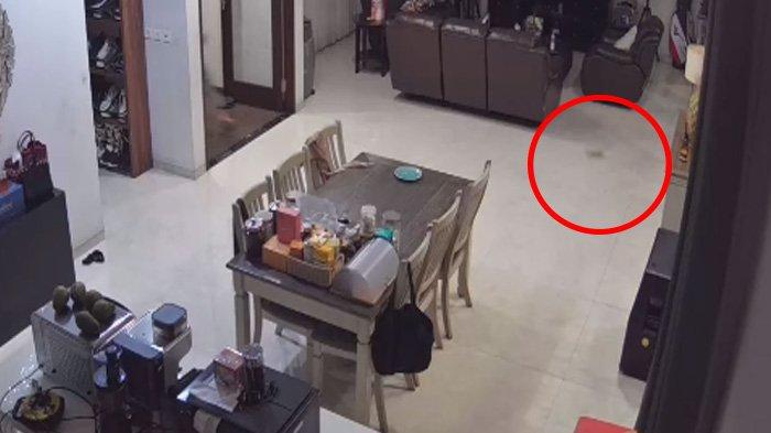Netizen juga dibuat salah fokus dengan kemunculan makhluk kecil yang terekam CCTV