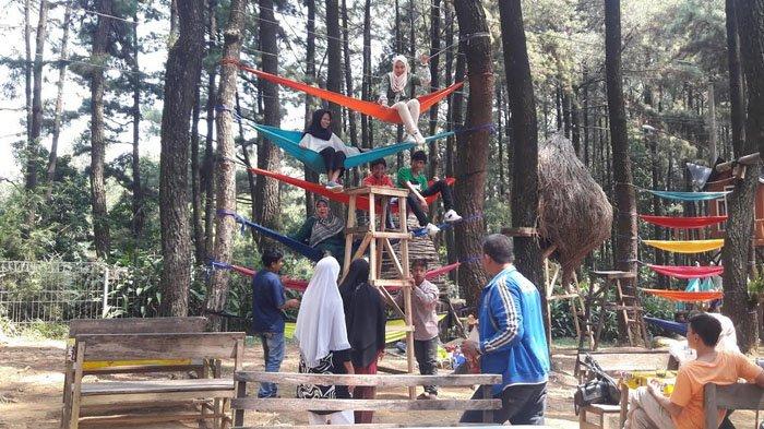 Berwisata ke Gunung Pancar, Bogor