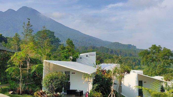 Tempat penginapan berkonsep glamping dengan pemandangan Gunung Pangrango, hotel di Bogor Leuweung Geledegan Ecolodge memiliki desain yang simple dan luas.