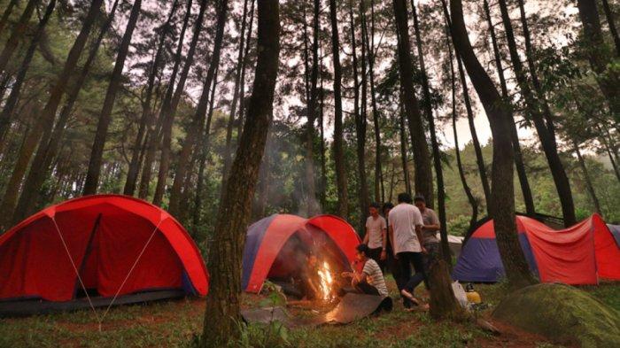 Di tempat wisata ini kamu tidak hanya sekadar melakukan camping, sebab Hutan Pinus Gunung Pancar juga bisa mencoba kegiatan lain seperti outbound atau berkuda.