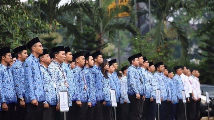 THR ASN 2025 - Ilustrasi Aparatur Sipil Negara (ASN) yang mencakup Pegawai Negeri Sipil (PNS) dan Pegawai Pemerintah dengan Perjanjian Kerja (PPPK).