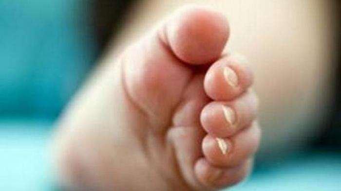 Ilustrasi bayi