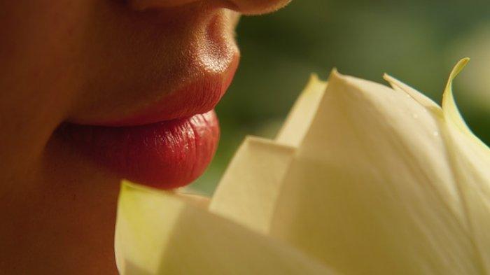 ilustrasi bibir