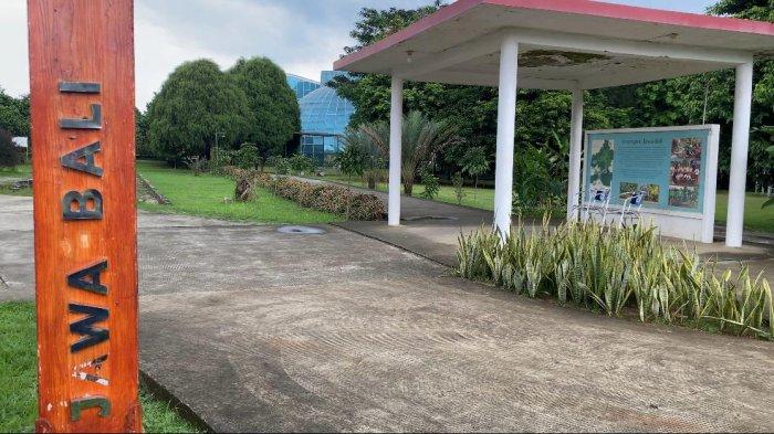 KEBUN RAYA BOGOR - Kebun Raya Cibinong mempunyai konsep menarik karena tempatnya mengusung konsep pendekatan kawasan yang berbeda dengan kebun raya lainnya. Salah satunya terdapat kawasan Jawa-Bali yang memiliki berbagai jenis pohon yang menjadi ciri khas dari region Jawa dan Bali.