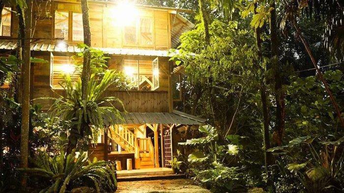 Sesuai namanya, tempat wisata Kampung 99 Pepohonan  ini memiliki banyak pepohonan dengan jenis yang berbeda-beda.