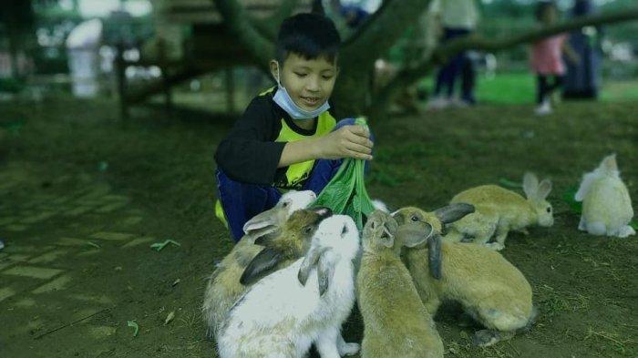Ajak si kecil berani untuk memberi makan hewan-hewan jinak dengan mengunjungi tempat wisata edukatif di Bogor yaitu The Ranch Cisarua Puncak.
