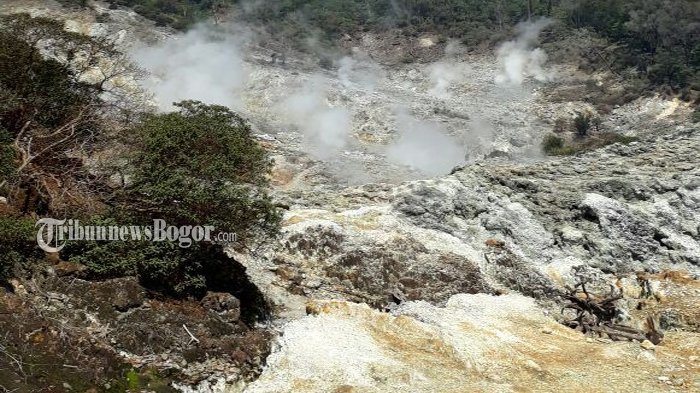 Eksotisme Kawah Ratu di Taman Nasional Gunung Halimun.
