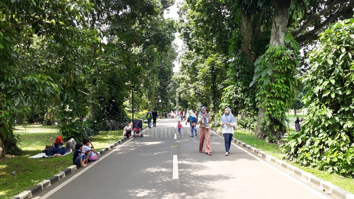 Meski lokasi tempat wisata ini berada di pusat kota Bogor, kamu masih bisa menikmati kesegarannya.