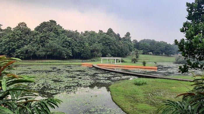 TEMPAT WISATA BOGOR - Kebun Raya Cibinong merupakan tempat wisata edukasi di Bogor. Salah satu spot foto yang sudah lama terkenal dan dijadikan iconic oleh warga Cibinong adalah Danau Dora.