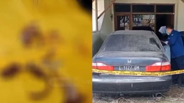 KERANGKA DI MOBIL POLISI: Tangkapan layar penampakan kerangka manusia di mobil polisi, disadur pada Kamis (13/3/2025). Terkuak ciri-ciri korban yang ditemukan tinggal kerangka dalam mobil di Asrama Polisi wilayah Gresik. Pemilik mobil pun akhirnya mengurai pengakuan.