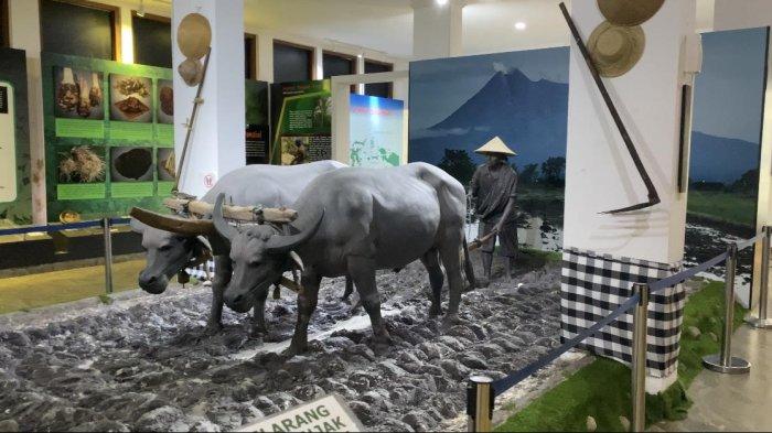 TEMPAT WISATA BOGOR - Museum Tanah dan Pertanian memiliki berbagai koleksi alat-alat pertanian tradisional hingga menggambarkan aktivitasnya, selain itu di sini juga terdapat Replika rumah petani juga hadir untuk menggambarkan rumah tradisional yang identik dengan kehidupan seorang petani.
