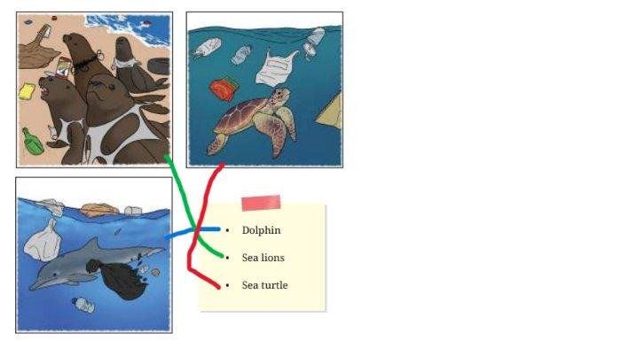 KUNCI JAWABAN BAHASA INGGRIS - Picture 4.7 dalam buku English For Nusantara untuk SMP/MTs Kelas VIII halaman 204.