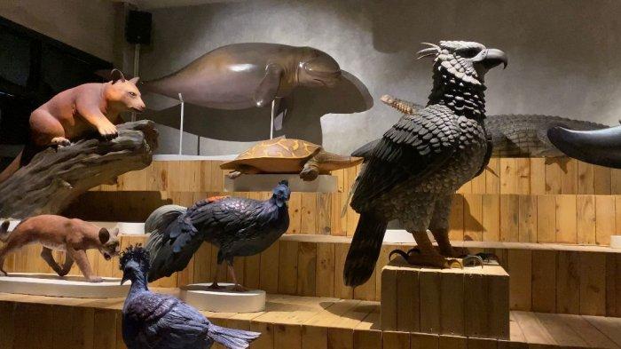 Animalium BRIN, tempat wisata edukasi di Bogor yang mempelajari berbagai jenis hewan mulai dari aves hingga mamalia sesuai dengan habitatnya.