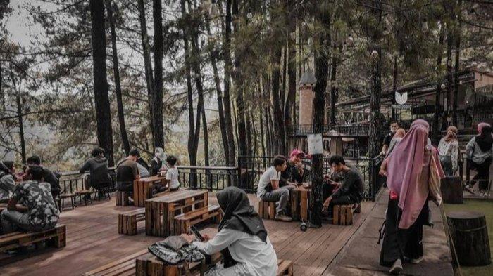Kopi Daong jadi tempat wisata Bogor yang pernah dijadikan lokasi film. Keindahan alam berupa hutan pohon pinus menjadi daya tarik tersendiri.