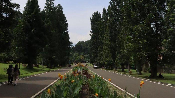 Menjadi primadona Bogor, berkunjung ke tempat wisata ini bisa melakukan banyak aktivitas menarik yang dapat melepas penat.