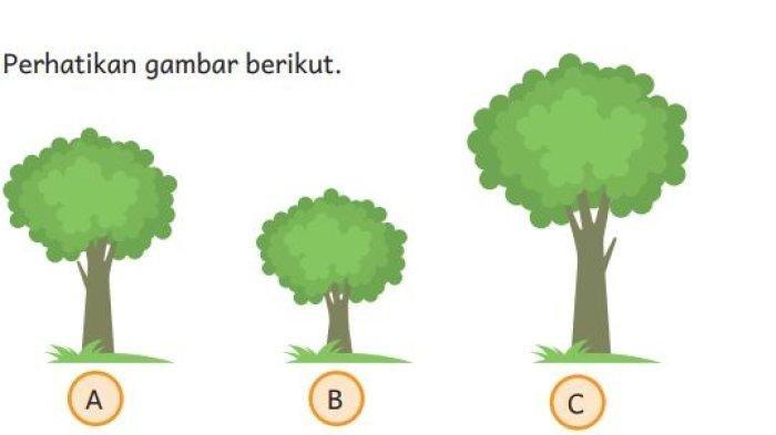 Curated visual reference: Fresh Look at Kunci Jawaban Pelajaran Matematika Halaman 214 Kelas 1 Sd Soal