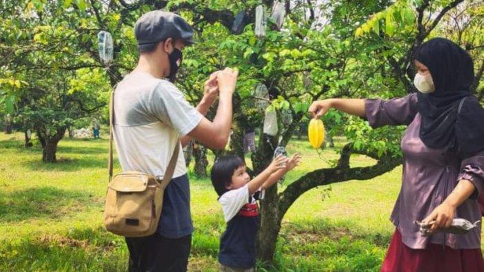 Taman Buah Mekarsari Bogor menawarkan tempat wisata edukasi mengenai tumbuhan dan buah - buahan, di sini kamu bisa menanam bibit dan merasakan manisnya buah - buahan yang bisa kamu petik sendiri. 