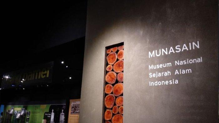 Museum Nasional Sejarah Alam Indonesia (Munasain), patut dikunjungi karena tempat wisata Bogor ini sebagai sarana belajar tentang makhluk hidup.