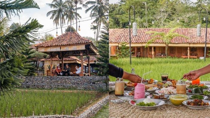 Ngopi Di Sawah merupakan tempat kuliner Bogor yang hadirkan suasana baru nikmati kudapan di pinggir sawah.