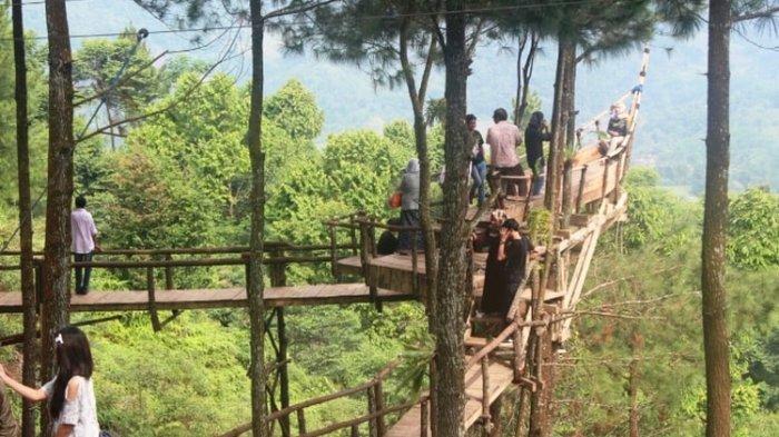 Bagi kamu yang mencari tempat wisata Bogor yang murah meriah, Panorama Pabangbon bisa jadi pilihan.