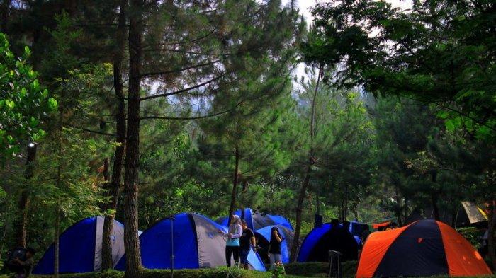 Suasana alam benar-benar terasa di sini, sebab area tempat wisata camping di Bogor ini dikelilingi dengan pepohonan hutan, sungai, dan air terjun.