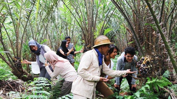Di tempat wisata Bogor ini, ilmu pengetahuan kamu dan keluarga seputar dunia agro. Pengunjung juga dapat belajar memetik buah di Taman Buah Mekarsari.