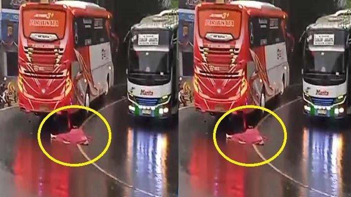 Viral video seorang pria baju merah terkapar di tengah jalan dan sempat masuk ke dalam kolong bus. Kejadian itu terjadi di wilayah Riung Gunung, Puncak, Kabupaten Bogor