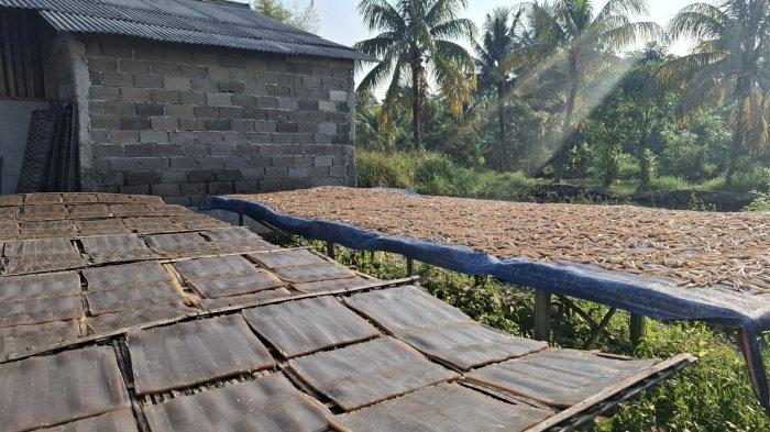 Proses pembuatan rambak jawa UMKM Lancar Barokah Bogor. Sehari produksi 100 kilogram dengan omzet 40 juta sebulan.