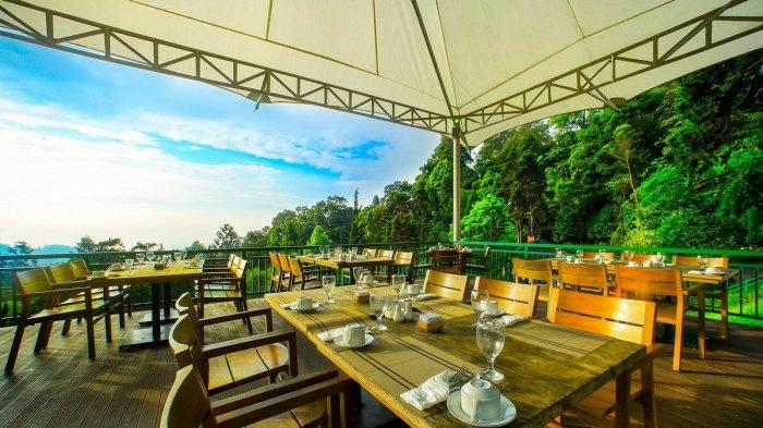 Hamparan pohon hijau yang rindang menghiasi hotel di Bogor ini, bukan hanya udaranya saja yang sejuk namun fasilitas di Puncak Pass Resort sangat berkualitas.