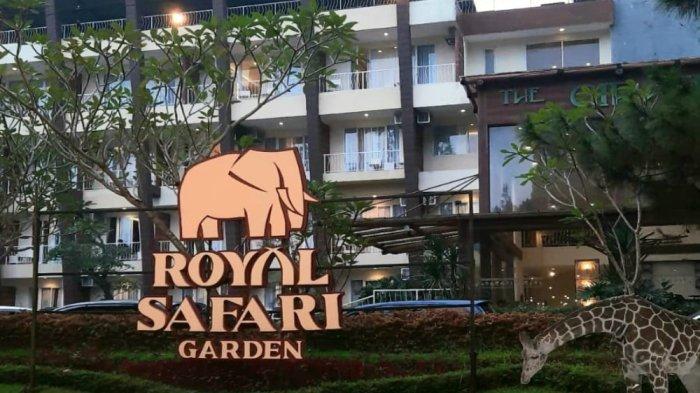 Tanpa menginap kamu juga dapat mengunjungi tempat wisata Royal Safari Garden di Puncak Bogor untuk melihat beragam satwa yang dikoleksi.