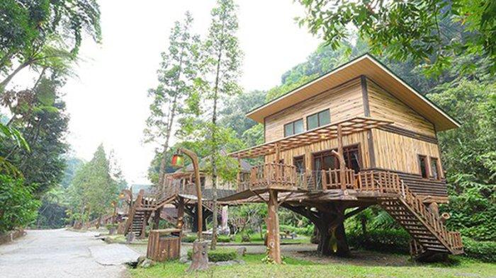 Rekomendasi hotel di Bogor yang unik, salah satunya rumah pohon di Safari Lodge.