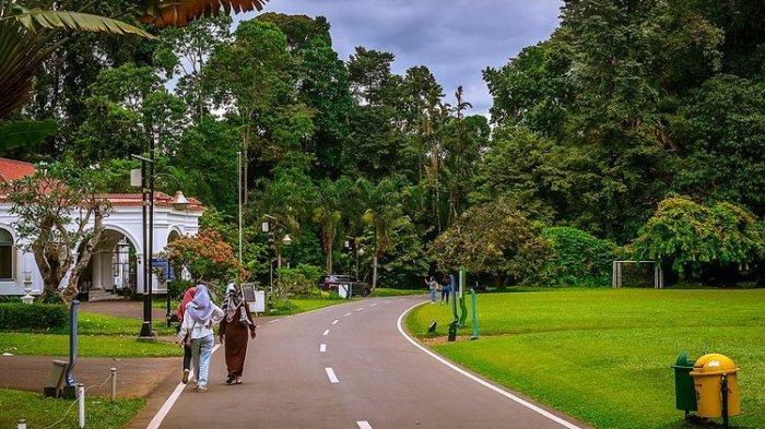 Liburan melepas penat, Kebun Raya Bogor cocok menjadi tempat wisata yang tepat untuk dikunjungi.