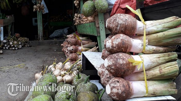 Talas salah satu kuliner Bogor jenis umbi-umbian yang dapat dibawa pulang sebagai oleh-oleh.