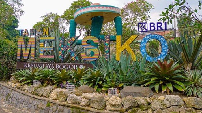 Di Kebun Raya Bogor, terdapat Taman Meksiko dengan kumpulan tanaman beriklim tropis yang menjadi salah satu tempat wisata unik di Bogor.  