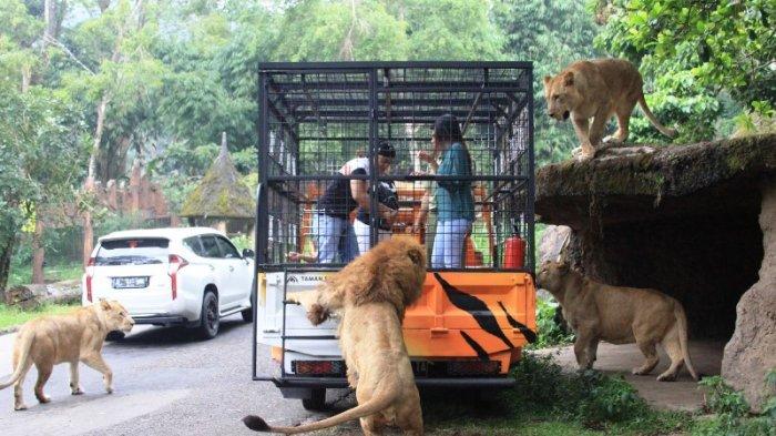 Taman Safari Indonesia
